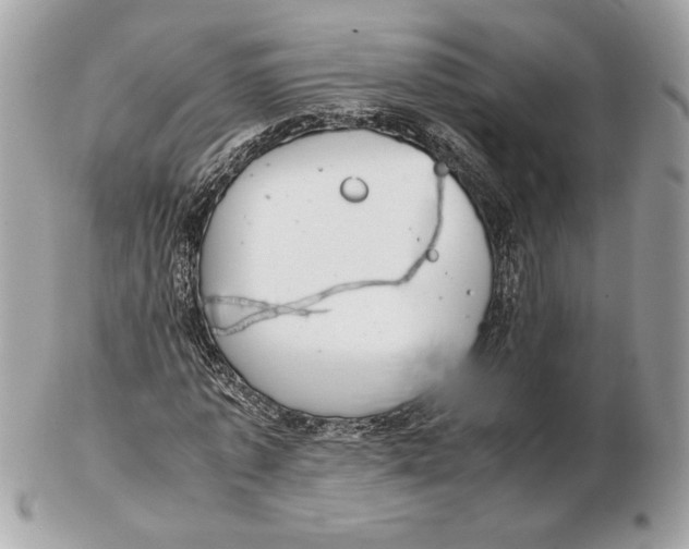 X0000102380773200808291400