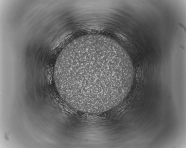 X0000102380774200808291400