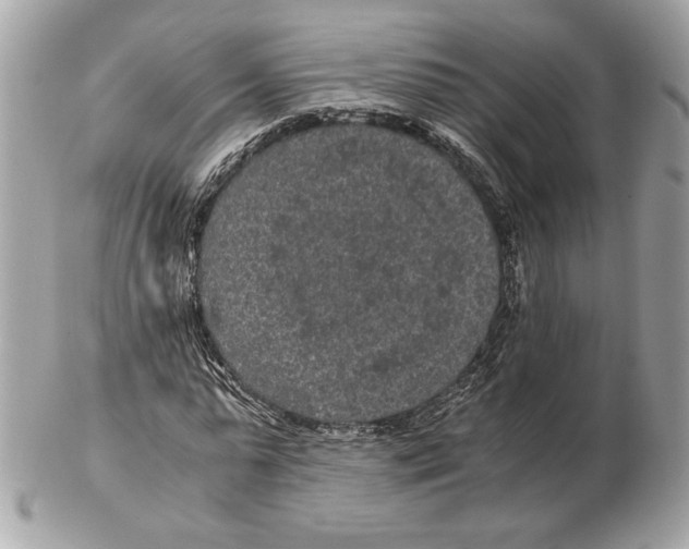 X0000102380775200808291400