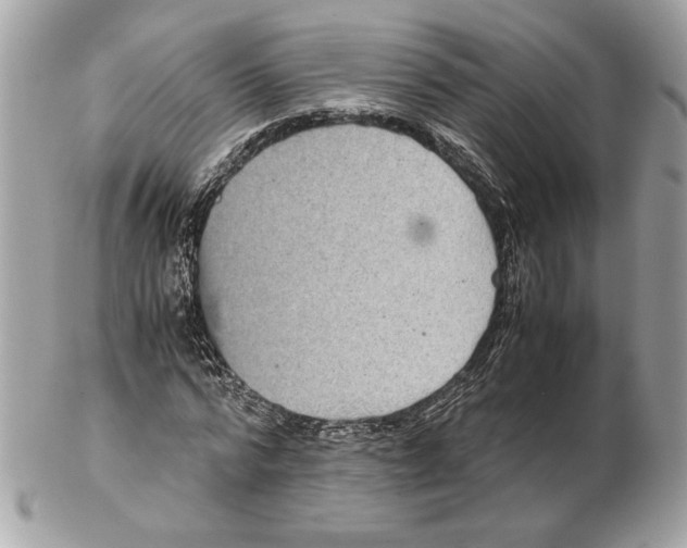 X0000102380776200808291400