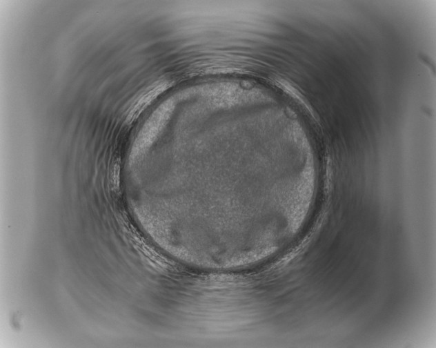 X0000102380777200808291400