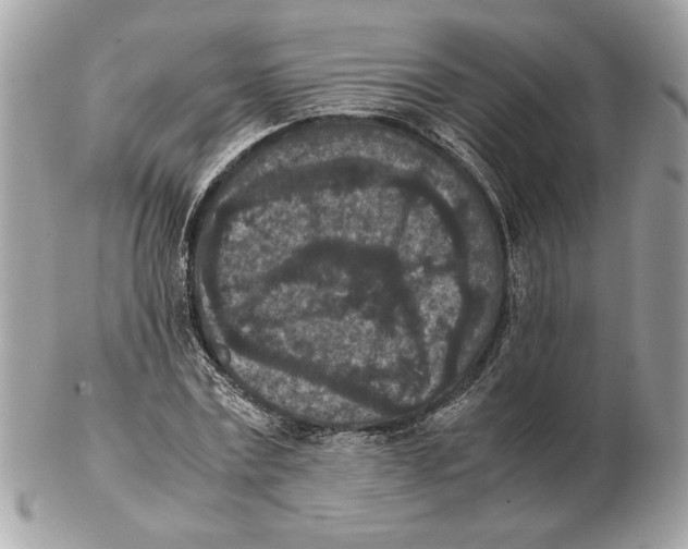 X0000102380779200808291400