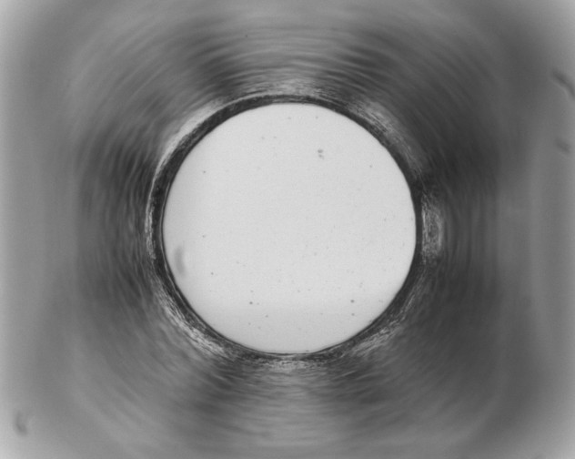 X0000102380780200808291400