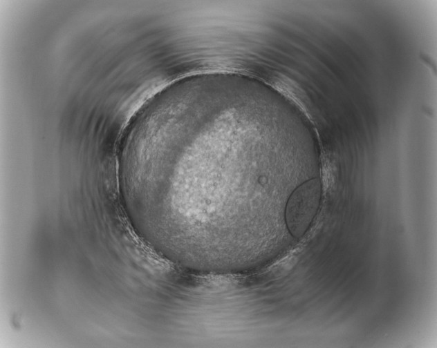 X0000102380781200808291400