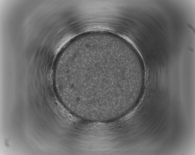 X0000102380783200808291400