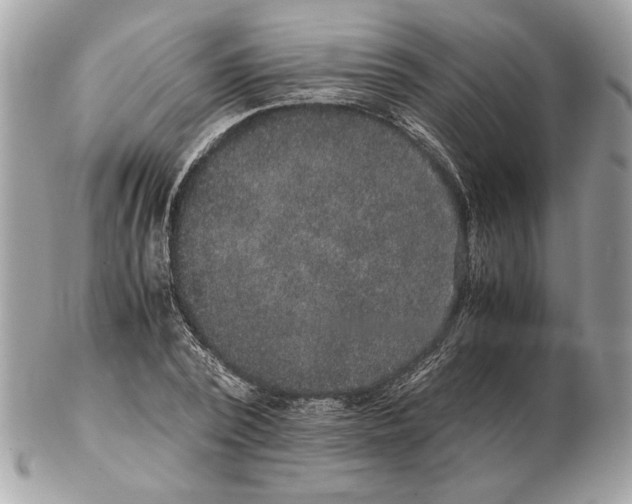 X0000102380784200808291400