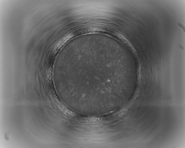 X0000102380785200808291400