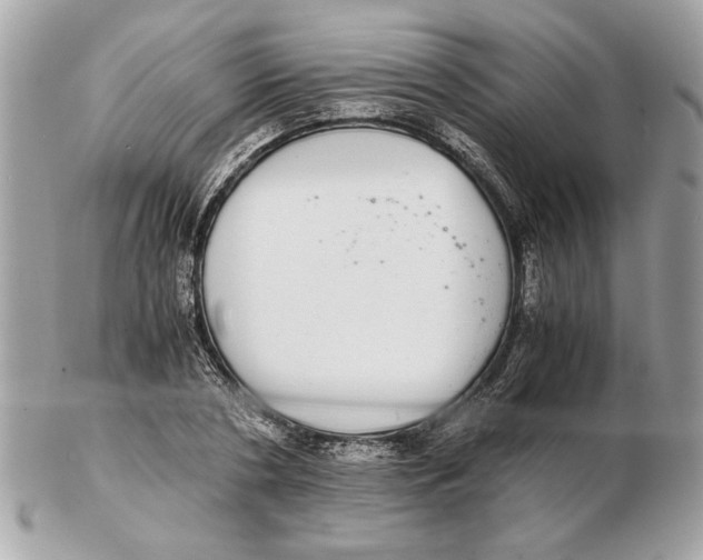 X0000102380786200808291400