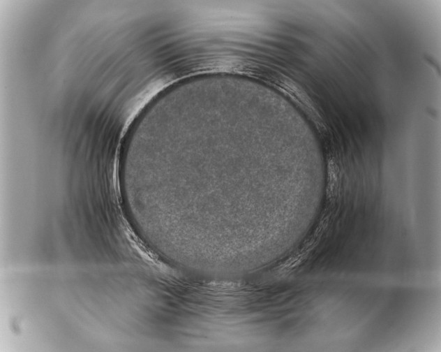 X0000102380788200808291400