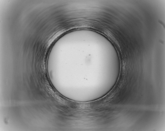 X0000102380789200808291400