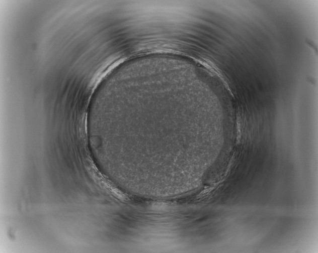 X0000102380790200808291400