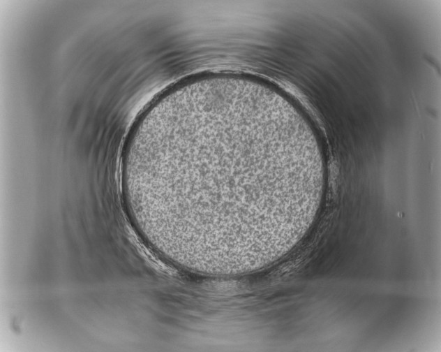 X0000102380791200808291400