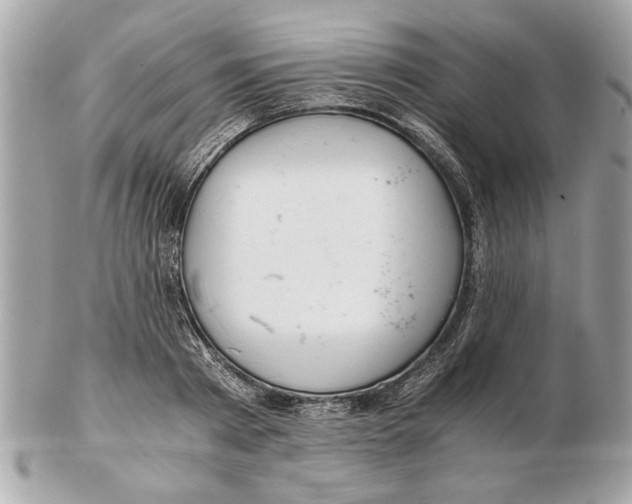 X0000102380793200808291400