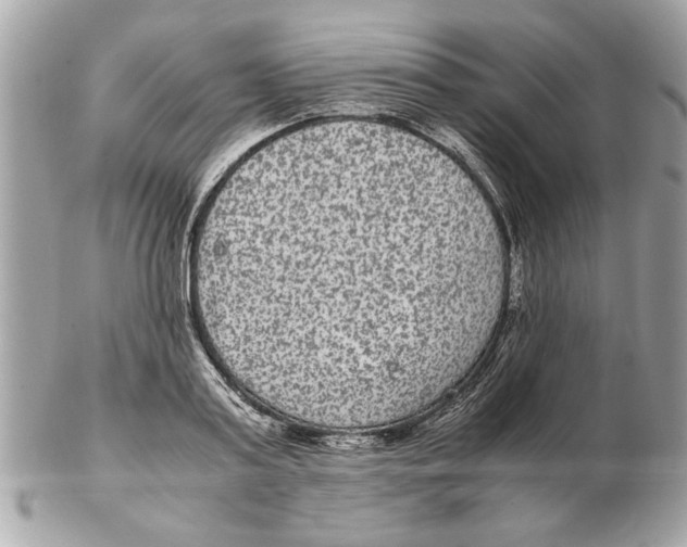 X0000102380795200808291400