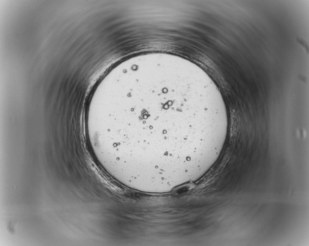 X0000102380796200808291400