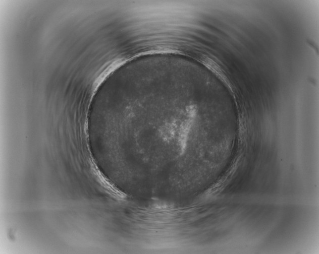 X0000102380797200808291400