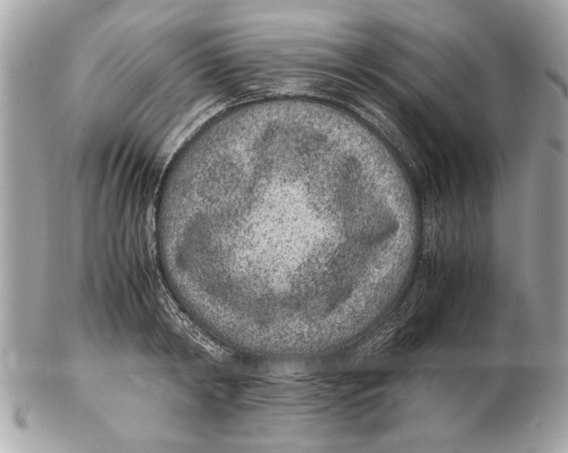 X0000102380798200808291400