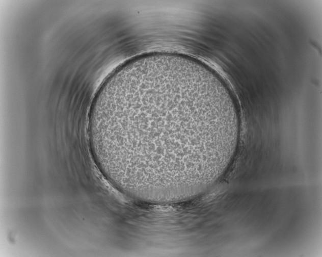 X0000102380799200808291400