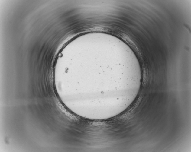 X0000102380800200808291400