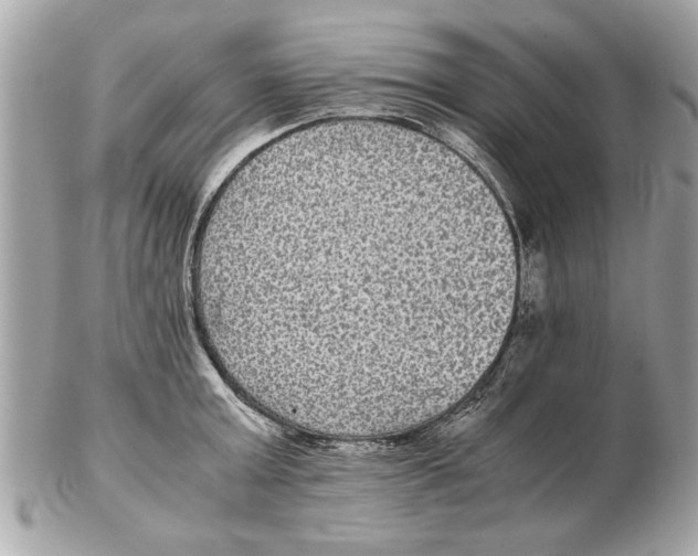 X0000102380803200808291400