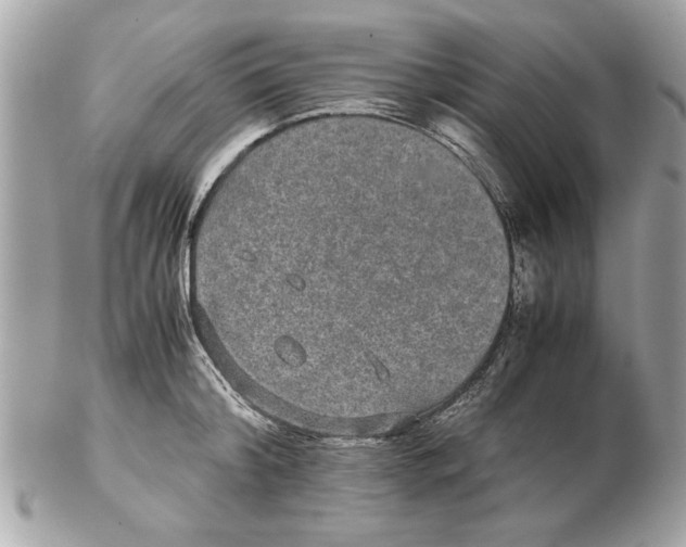 X0000102380804200808291400