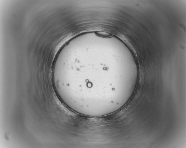 X0000102380805200808291400