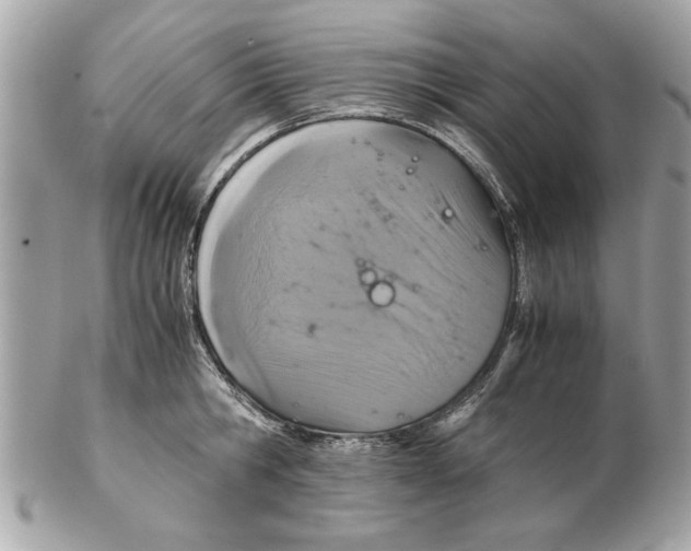 X0000102380806200808291400