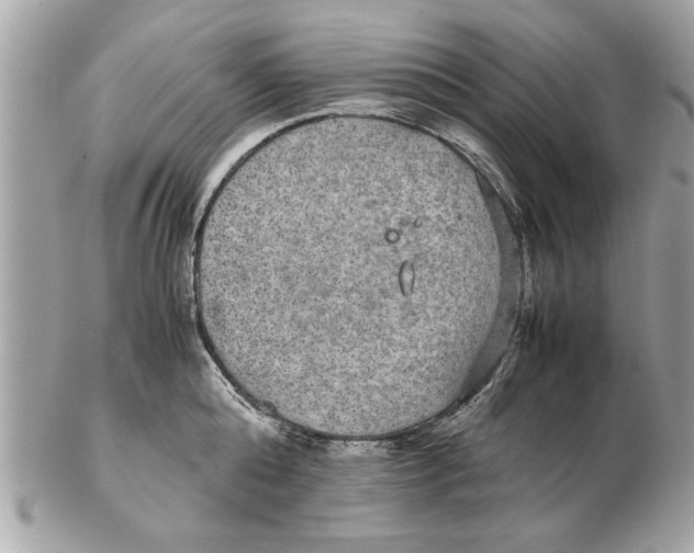 X0000102380808200808291400