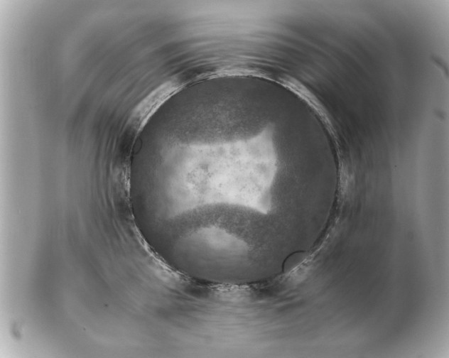 X0000102380809200808291359