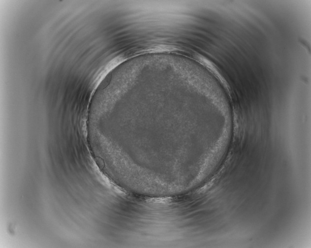 X0000102380810200808291359