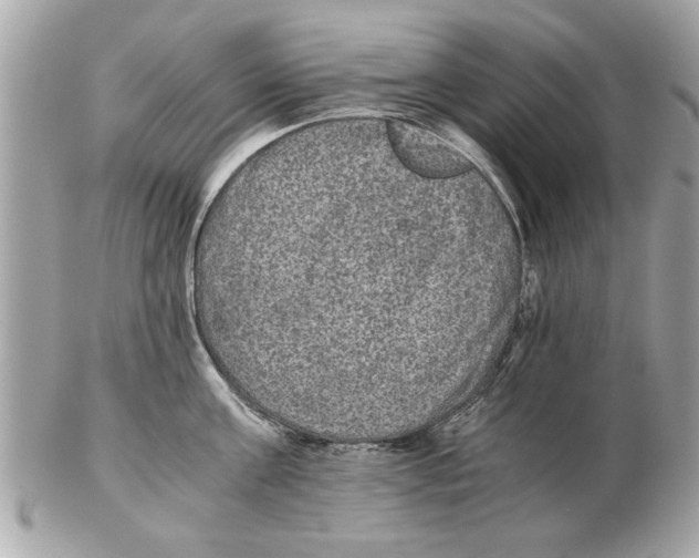 X0000102380811200808291359