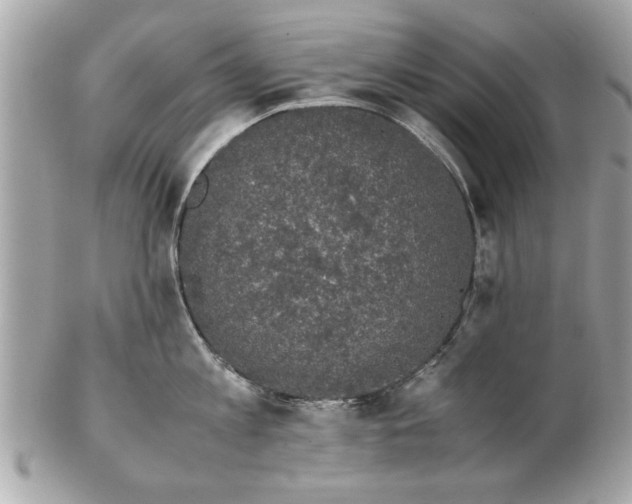 X0000102380813200808291359