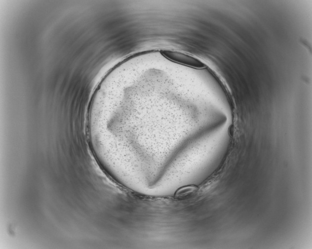 X0000102380815200808291359