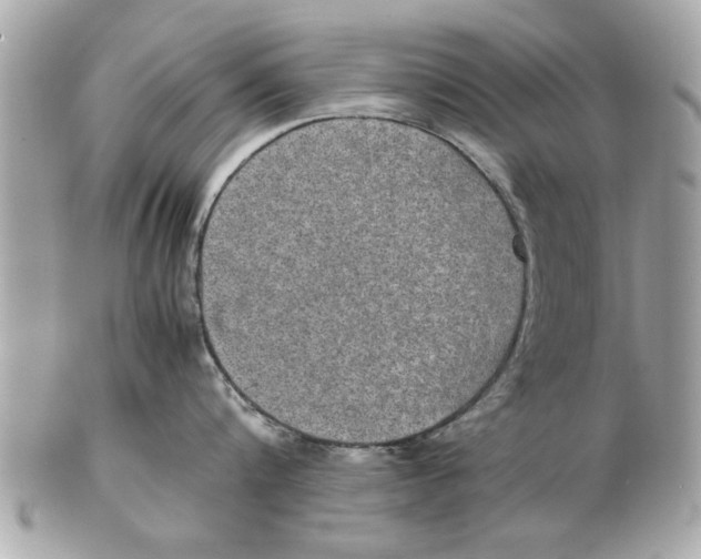 X0000102380816200808291359