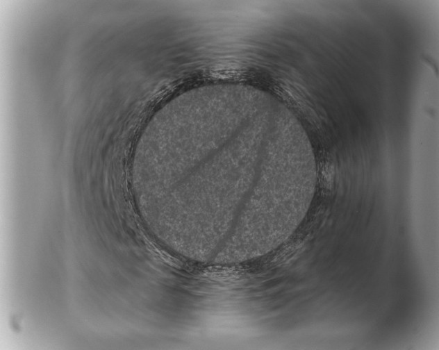 X0000102380817200808291359