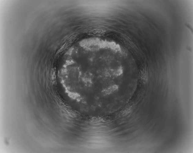 X0000102380818200808291359