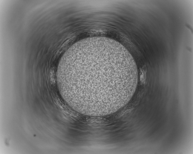 X0000102380819200808291359