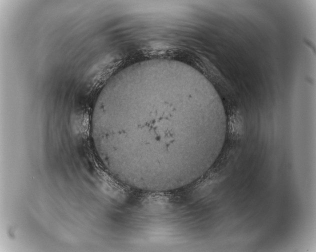 X0000102380820200808291359