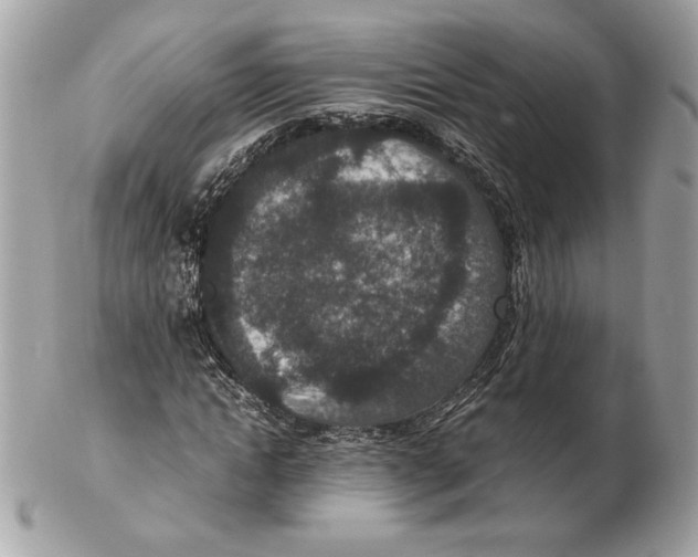 X0000102380822200808291359