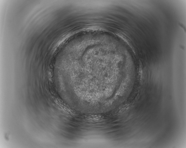 X0000102380823200808291359