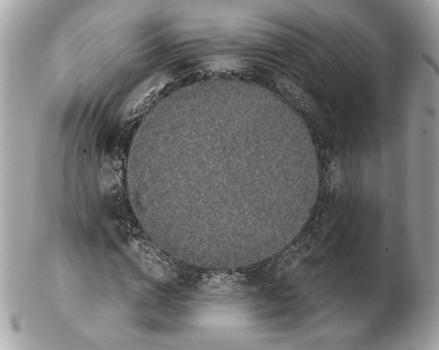 X0000102380824200808291359