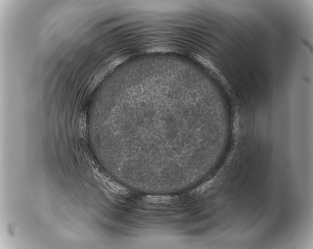 X0000102380825200808291359