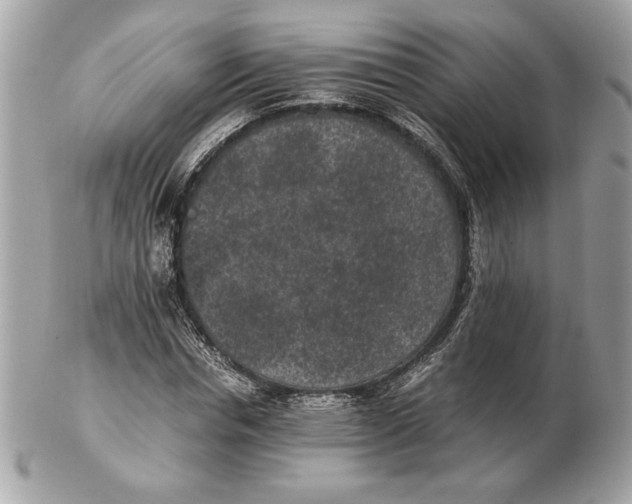 X0000102380826200808291359