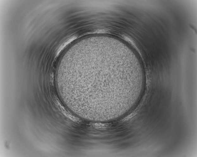 X0000102380827200808291359