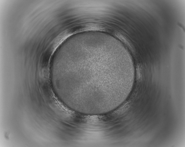 X0000102380828200808291359