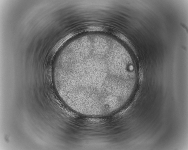 X0000102380829200808291359