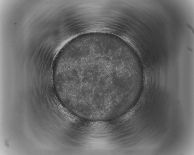 X0000102380830200808291359