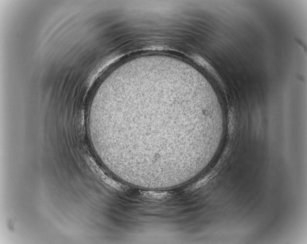 X0000102380831200808291359