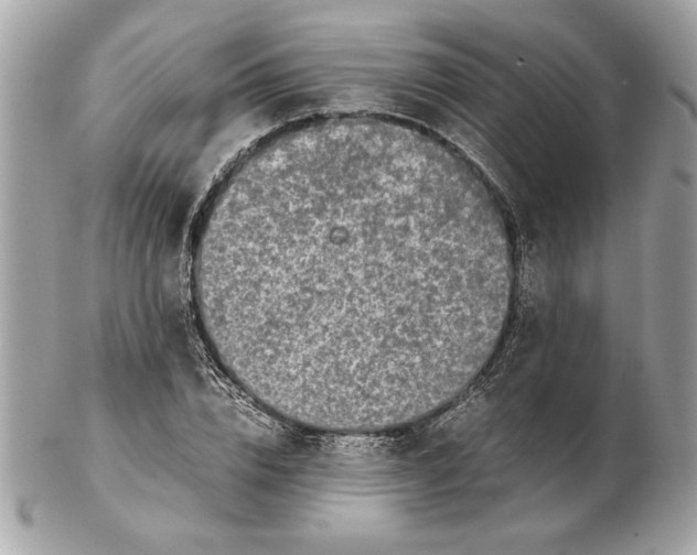 X0000102380832200808291359