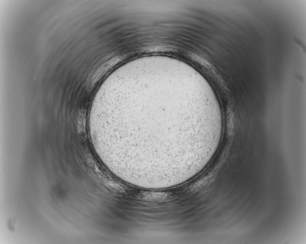 X0000102380833200808291359